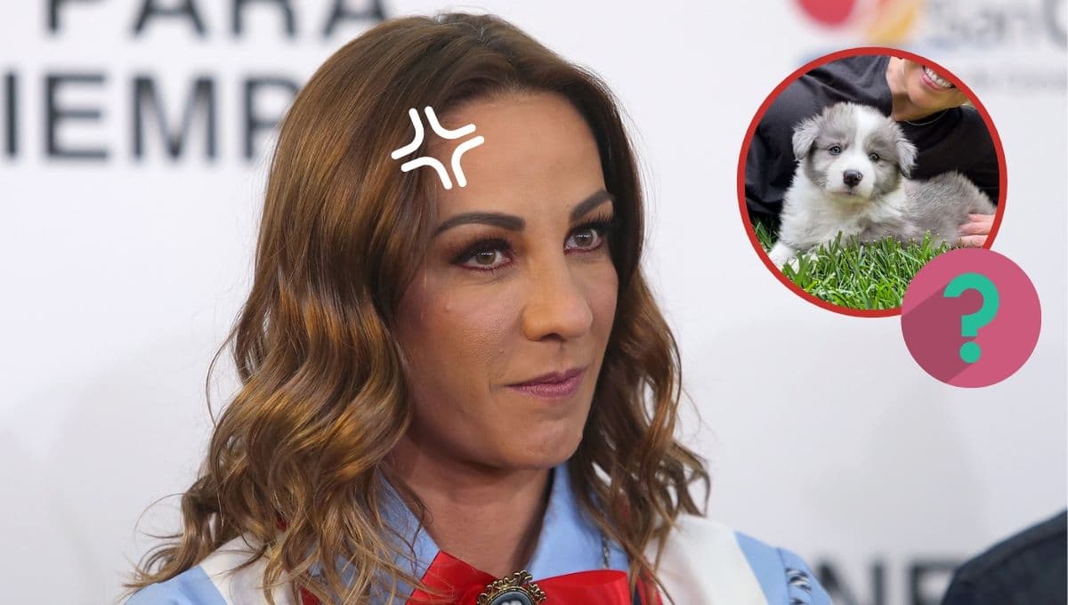 Consuelo Duval ACUSA a famosa cantante de abandonar perros en la calle