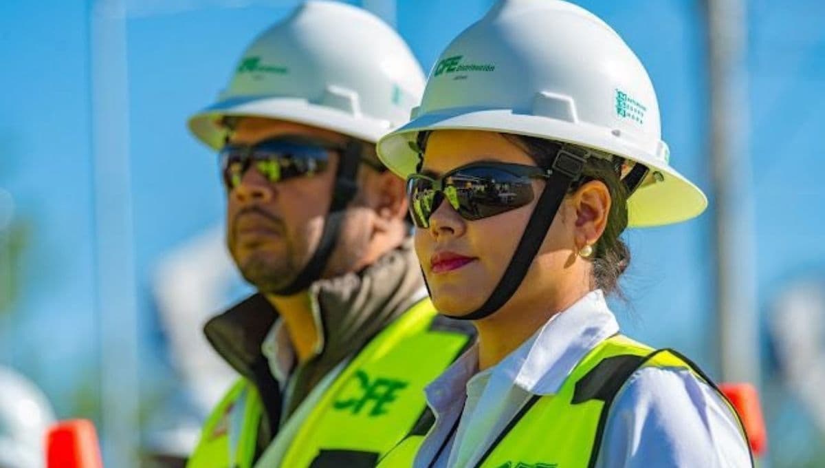 CFE descuentos con credencial del INAPAM