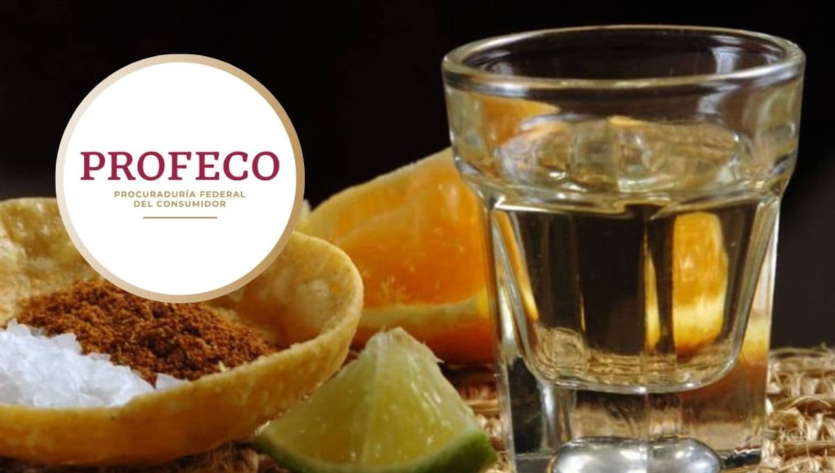 ¿Ganas de fiesta? 3 mejores marcas de mezcal según la Profeco