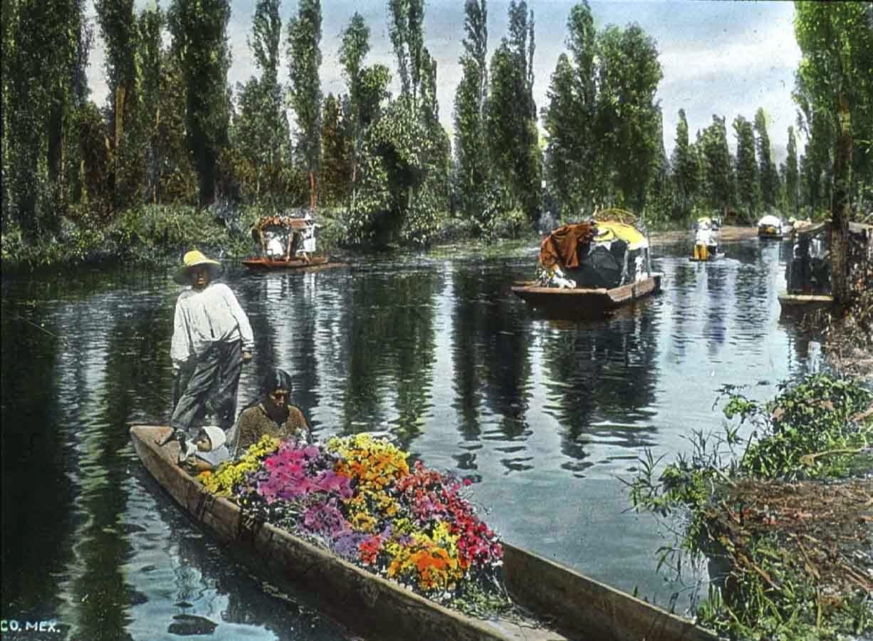 Chinampas, bosques y agua tratada para combatir el cambio climático en la CDMX