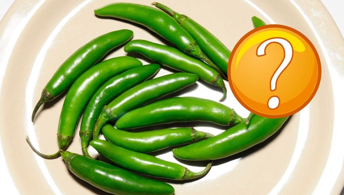 ¿El chile serrano es fruta o verdura?