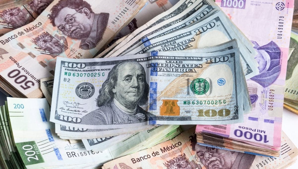 Precio del dólar HOY 14 de agosto 2024: ¿cuál es el tipo de cambio en bancos para este miércoles?