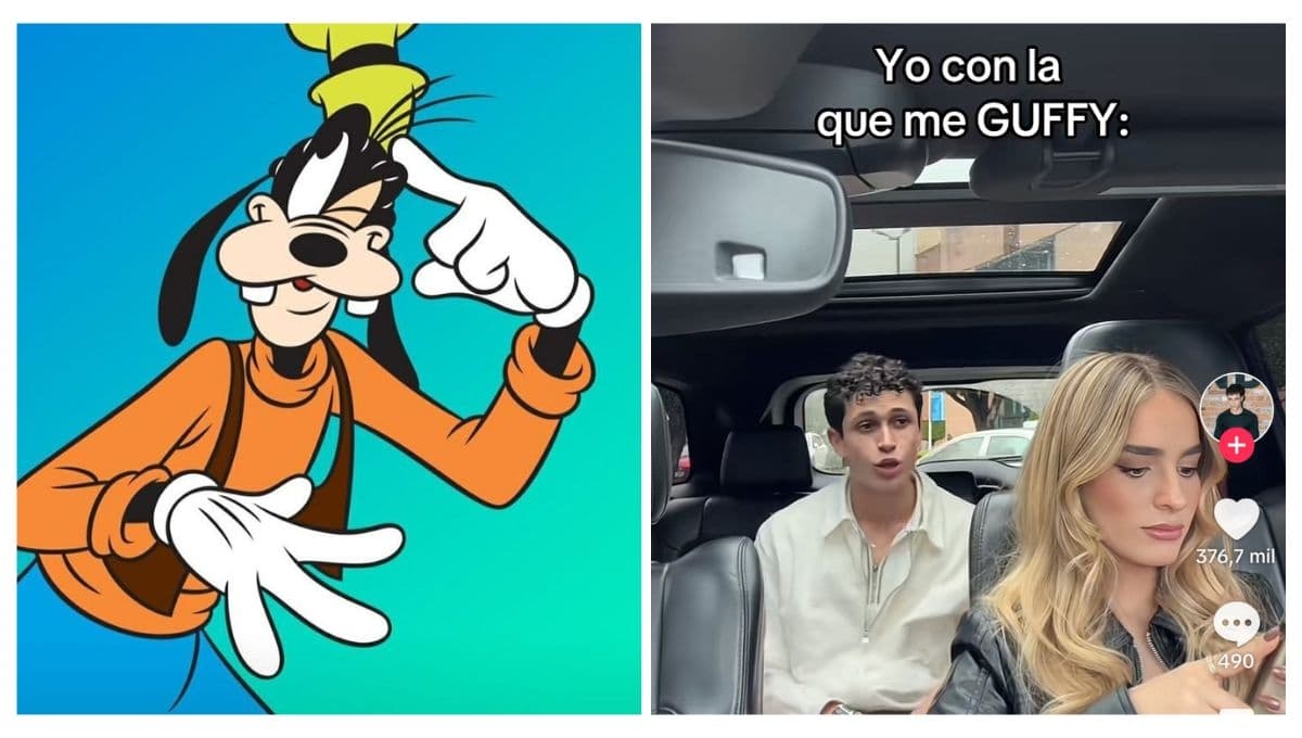 ¿Qué significa "estás como me Goofy"?