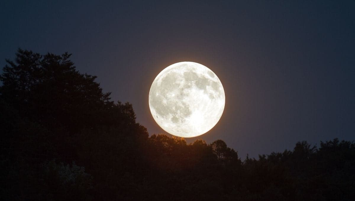 Luna Llena en octubre 2024: cuándo, dónde ver desde México y significado de La Luna del Cazador