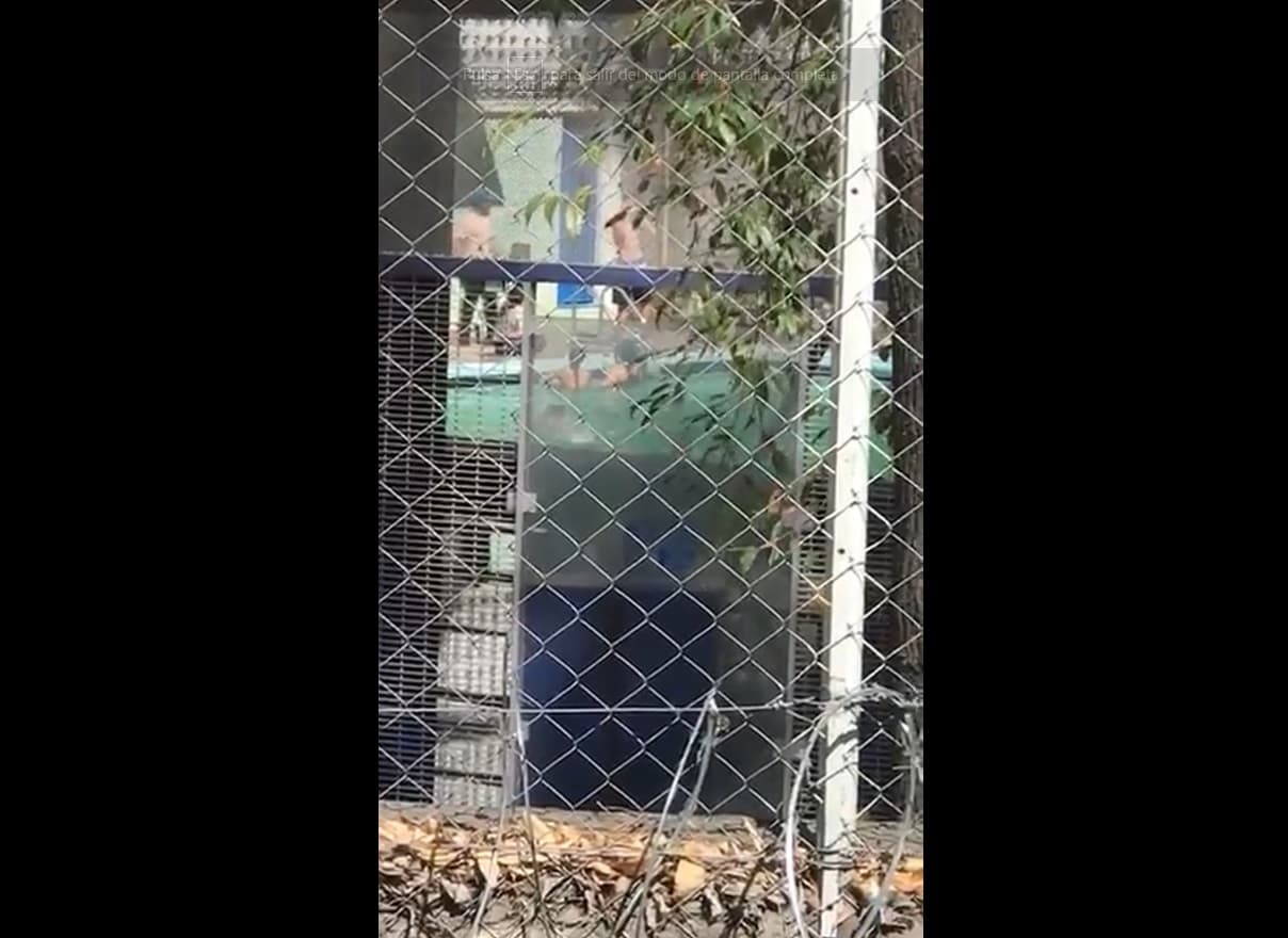 Paristas de la preparatoria 6 de la UNAM tienen fiesta en la alberca