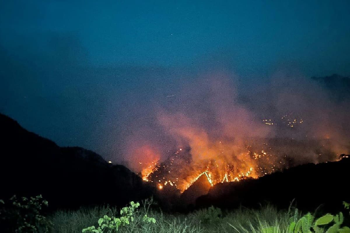 Incendio en Hidalgo obliga a familias a salir de sus casas