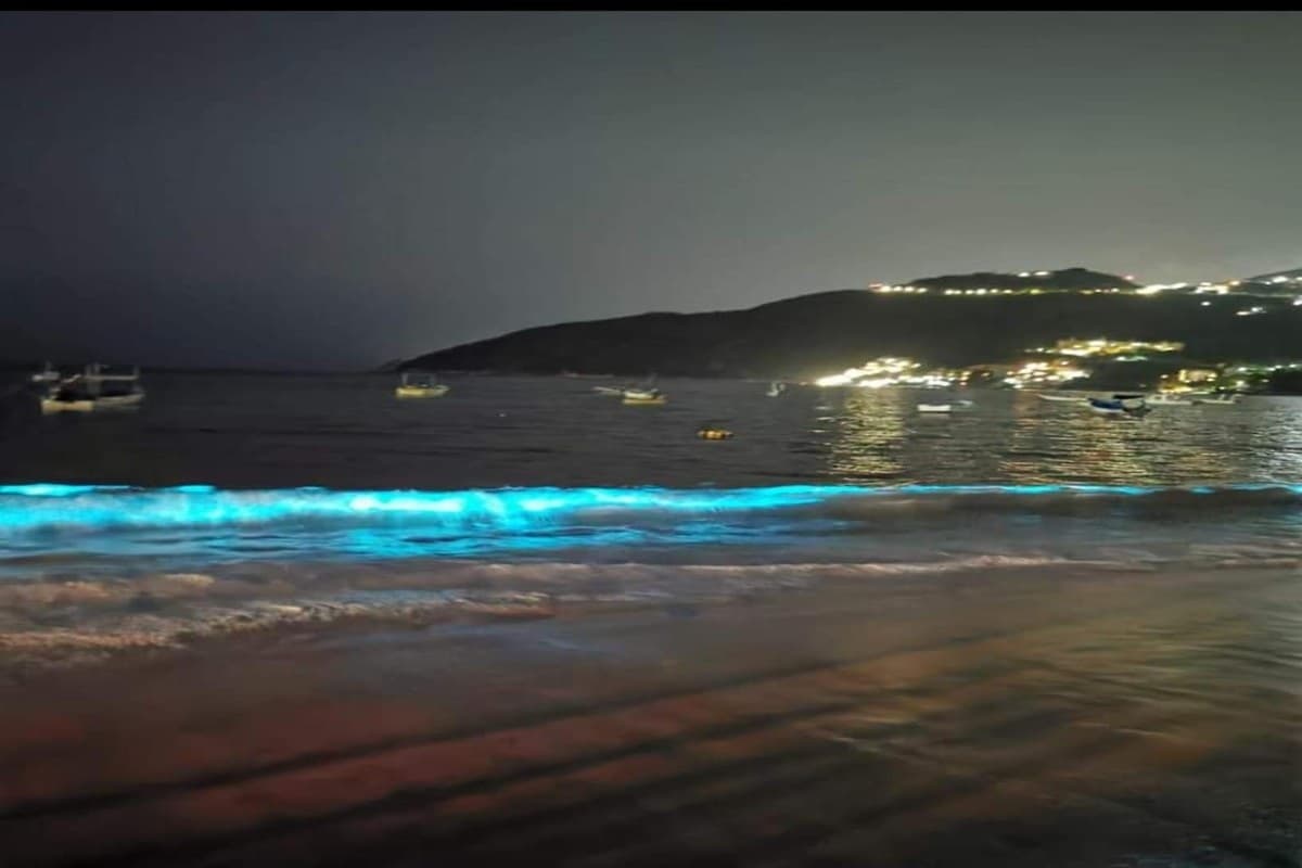Playas de Acapulco se iluminan con neón gracias a la bioluminiscencia