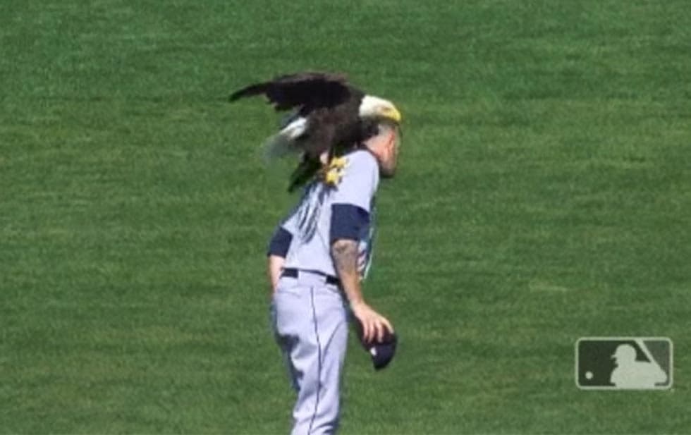 <div>Un águila inmoviliza a pitcher de Marineros</div>