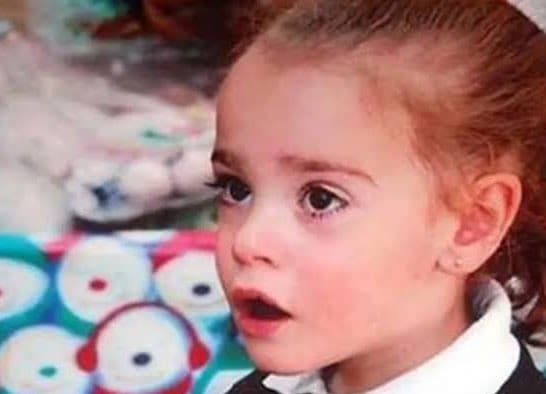 ¿Quién es Paulette Gebara Farah? esta es su historia
