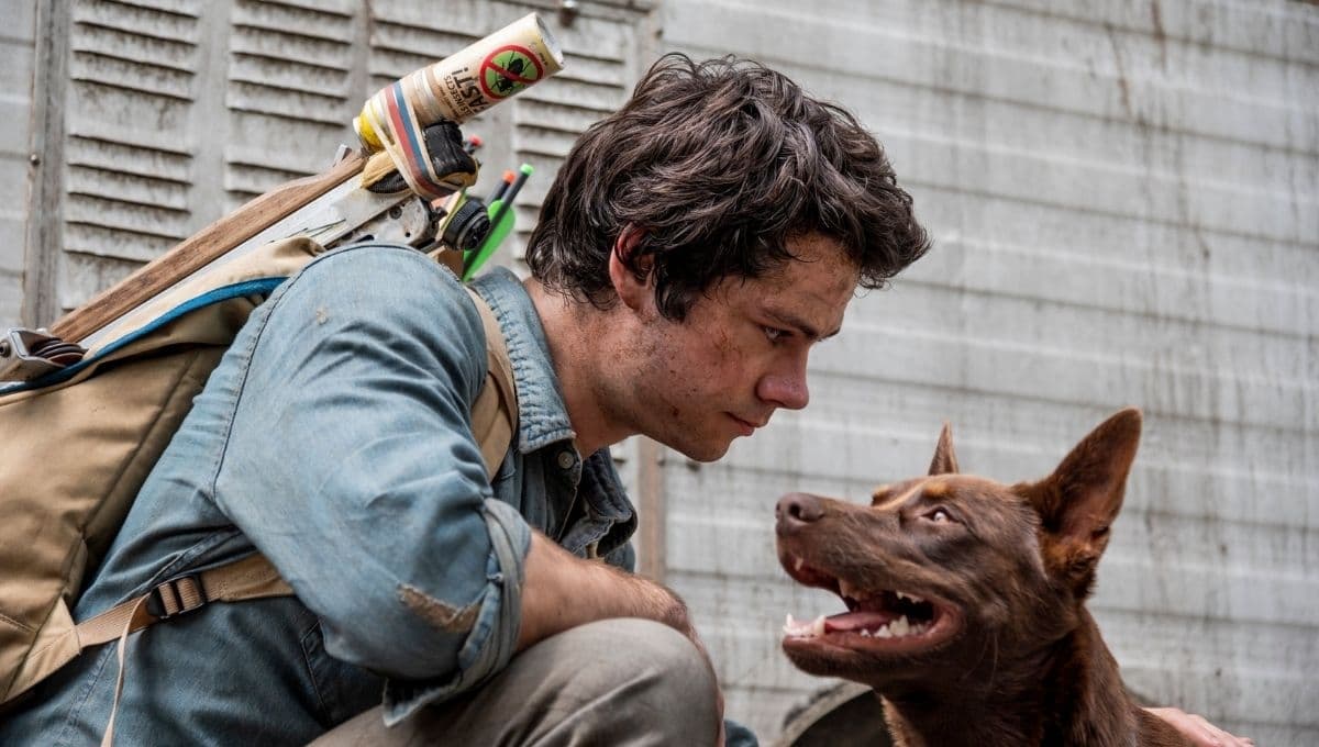 Amor y monstruos: ¿De qué trata la nueva película de Netflix?