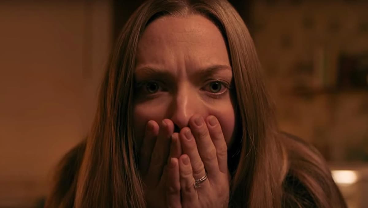 La apariencia de las cosas: ¿De qué trata la nueva película de Netflix protagonizada por Amanda Seyfried?