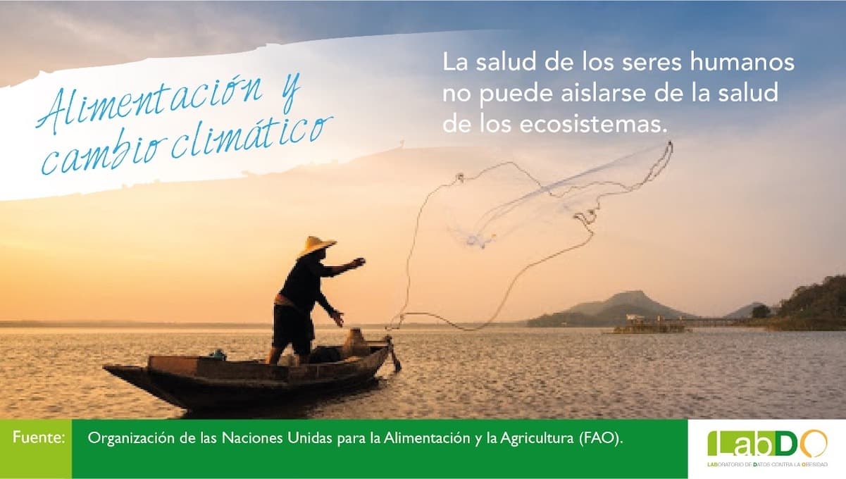 Las dietas sostenibles pueden ayudar a mitigar el daño al medio ambiente