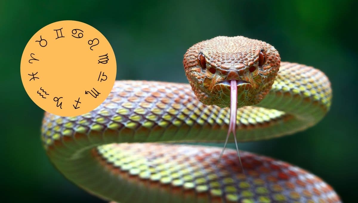 Horóscopos hoy: Ellos son los signos más doble cara según la astrología