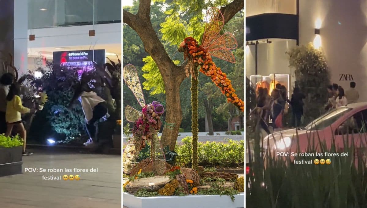 México Mágico: Roban flores del Festival de las Flores de Polanco y los exhiben en VIDEO