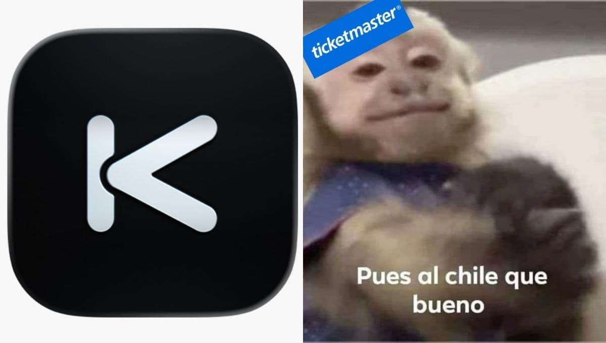 mejores memes por la caida de fanki