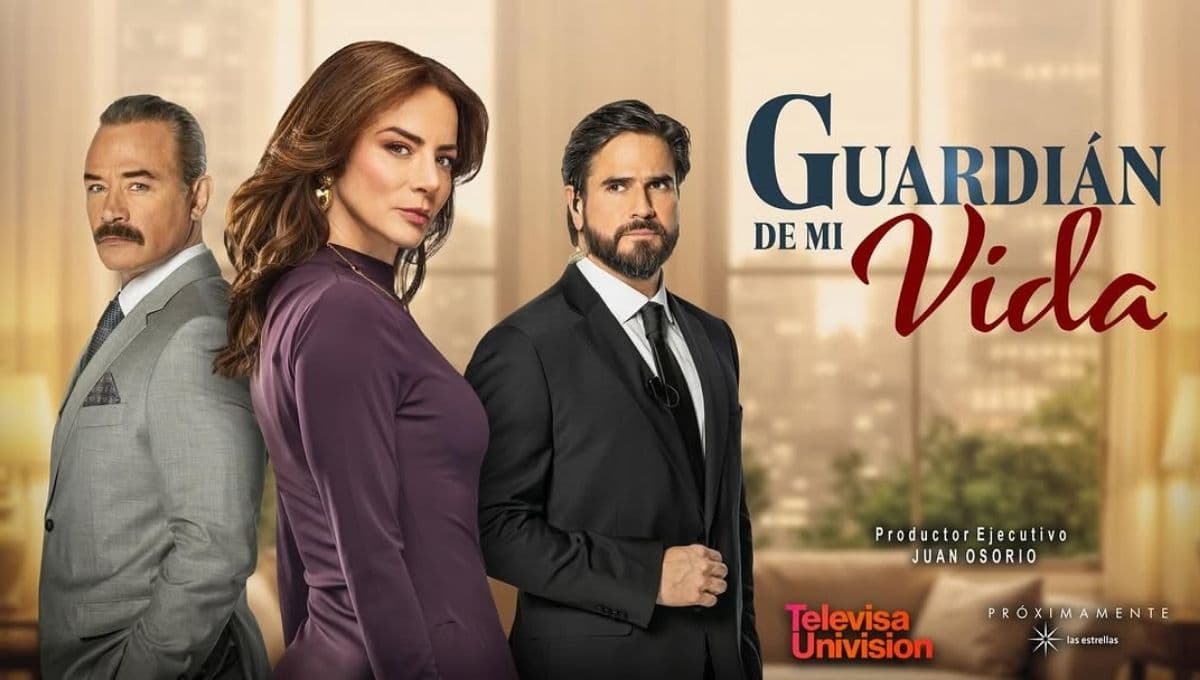 ¿De qué trata? Guardián de mi Vida