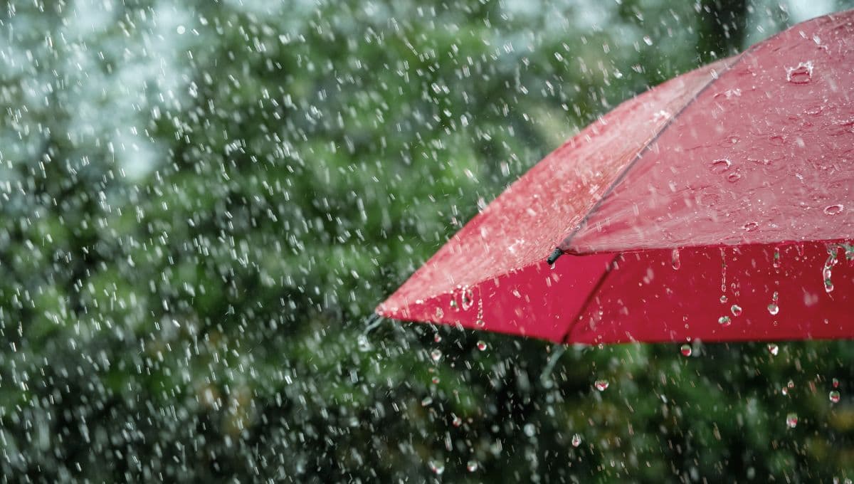 pronóstico del tiempo en la CDMX hoy jueves 4 de junio